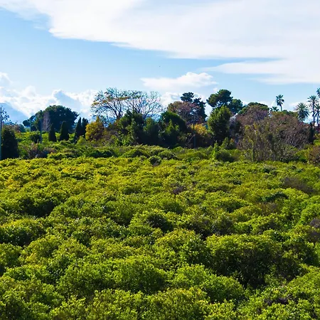 Navelina Playa Gran Terraza Bbq 펜션 *