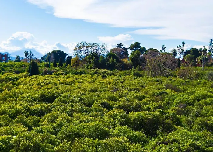 Navelina • • Playa • Gran Terraza • Bbq Σπίτι διακοπών